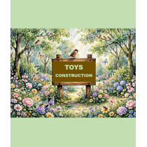 TOYS - CONSTRUCTION & BUILDING  (Lego / Cogo / Plastic Blocks & Construction / Wooden Blocks / DIY Metal